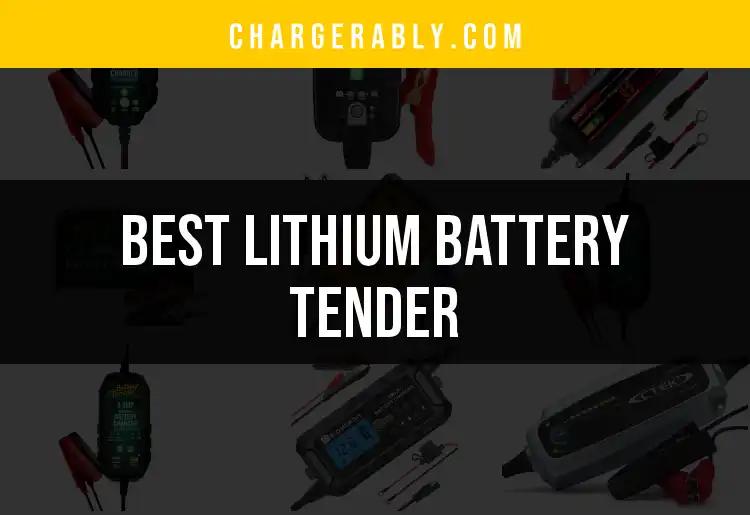 16 Best Lithium Battery Tender Picks for Quick Charging
